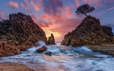 rock, sunset, sea, wave, shore