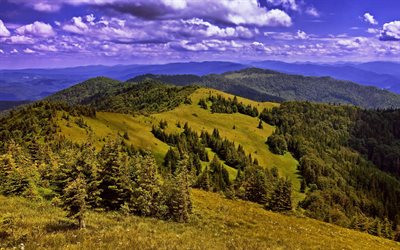 carpathians, ukraine, polonyny, gori, forest