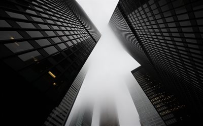 vue de gratte ciel d'en bas, vue du bas, brouillard, matin, centres d'affaires, grands bâtiments, gratte ciel