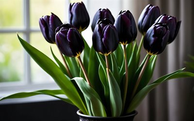 الزنبق البنفسجي الداكن, 4k, عن قرب, براعم, زهور الربيع, باقة من زهور التوليب, زهور جميلة, ربيع, الخلفية مع زهور التوليب, زهور البنفسج الداكن, براعم بنفسجية داكنة, زهور التوليب
