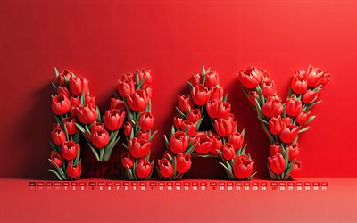 2025 mai kalender, 4k, rote tulpenbuchstaben, mai 2025, frühlingskalender, rote hintergründe, mai 2025 kalender, rote tulpen, rote 3d  buchstaben, 2025 konzepte, mai kalender, 2025 kalender, mai