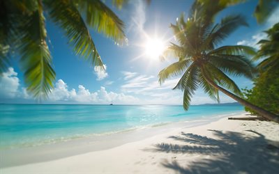 tropical island, palm trees on the beach, luxury beach, palm trees on the shore, summer travel, relaxation, paradise, ocean, islands in the ocean