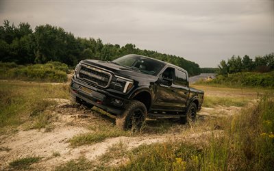 ラシュrt6, 4k, 砂の道, 2026 台の車, 未舗装道路, チューニング, ピックアップ, 2026 ラウシュ rt6, アメリカの車, フォード f 150, フォード