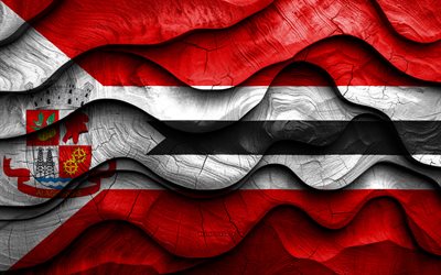 4k, drapeau des alagoinhas, villes du brésil, drapeaux d'ondes 3d en bois, jour des alagoinhas, brésil, drapeau en bois d'alagoinhas, villes brésiliennes, alagoinhas