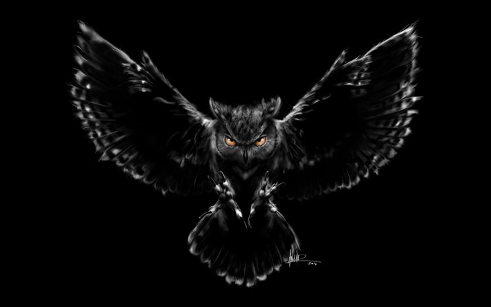 black owl, 4k, minimal, predators, Bubo bubo, cartoon owl, owl, eagle-owl, owls, owl minimalism