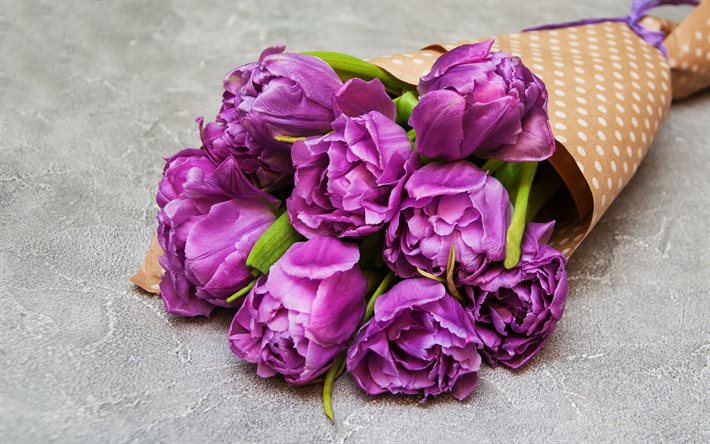 tulipes violettes, bouquet de fleurs violettes, bouquet de tulipes, arrière-plan avec tulipes, belles fleurs, tulipes