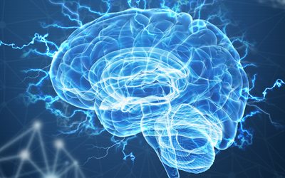 4k, 青い脳のシルエット, 脳と背景, 心の概念, 人工知能, 脳のレントゲン, 青い脳の背景, 脳の概念