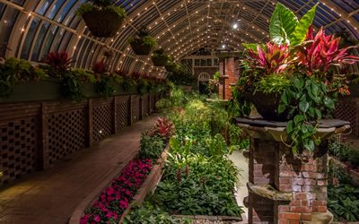 el jardín botánico de efecto invernadero, pittsburgh, pa, estados unidos