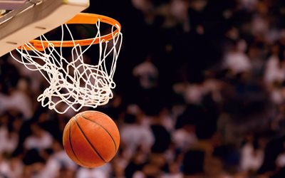the ball, basket, basketball