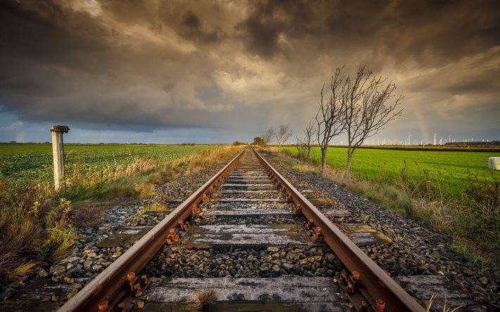 field, railroad tracks, gloomy day, trees