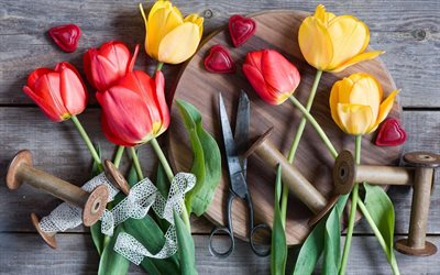 tape scissors, coil, tulips