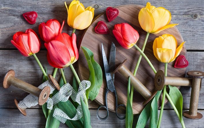 cinta adhesiva, tijeras, muelles, los tulipanes