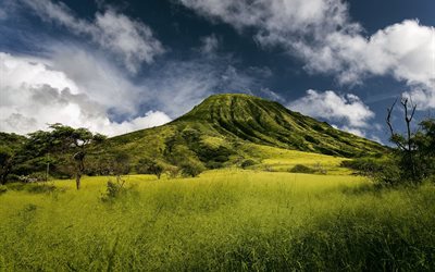 a ilha de oahu, cratera koko, havaí