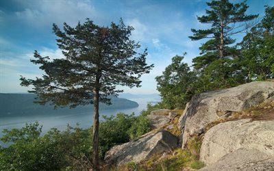 the lake, lake george, pine, rock, the state of new york