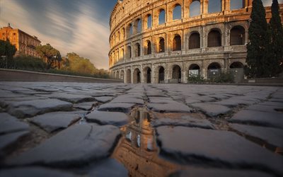 the colosseum, baby, pavers, rome