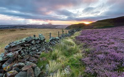 hills, field, stone fence, scotland