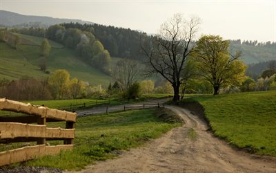 hills, trees, dirt road, the fence