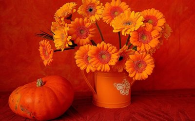 pumpkin, sunflowers