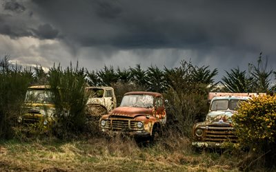 field, grass, old cars