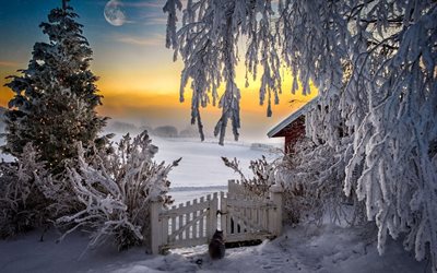 solnedgång, åt, vinterlandskap, huset, staketet