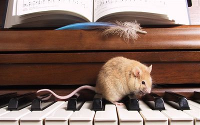 piano, notas, ratón