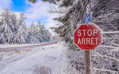정지 신호, 숲, robichaud, 도로, 뉴브런즈윅, 캐나다