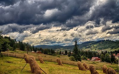 hay, bukovel, wald -, karpaten -, berg-landschaft, ukraine