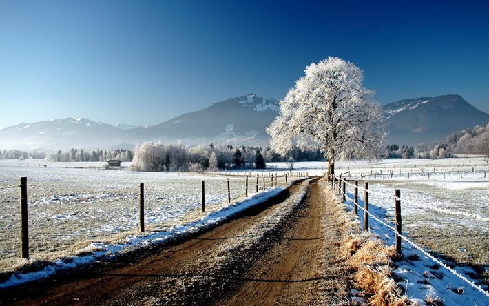 winter landscape, road, tree, mountains