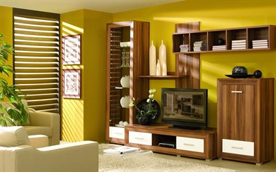upholstered furniture, tv, cabinet