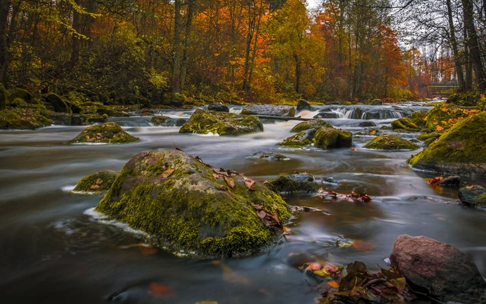 otoño, 4k, río, cascadas, rocas, bosques