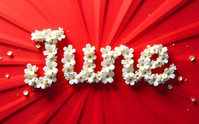 4k, June, white floral letters, creative, red abstract background, June concepts, names of months, June inscription, June word, background with June