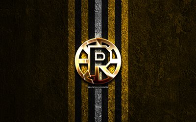 Providence Bruins golden logo, 4k, yellow stone background, AHL, american hockey team, Providence Bruins logo, hockey, Providence Bruins