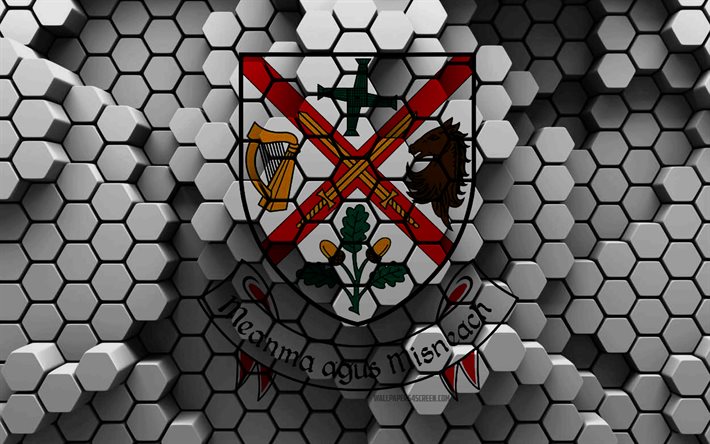 4k, Flag of County Kildare, Counties of Ireland, 3d hexagon background, Day of County Kildare, 3d hexagon texture, Kildare flag, Irish national symbols, County Kildare, 3d Kildare flag, Kildare, Ireland