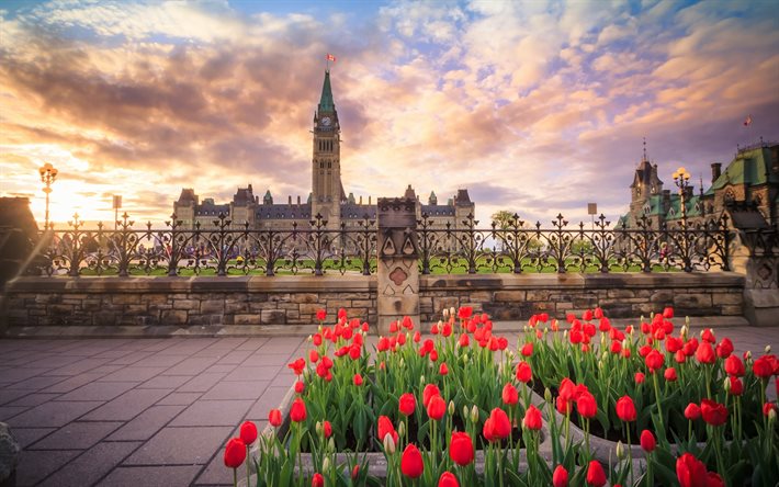 Peace Tower, 4k, Parliament Hill, tulips, sunset, Ottawa, Canada, canadian cities, Ottawa panorama, Ottawa cityscape