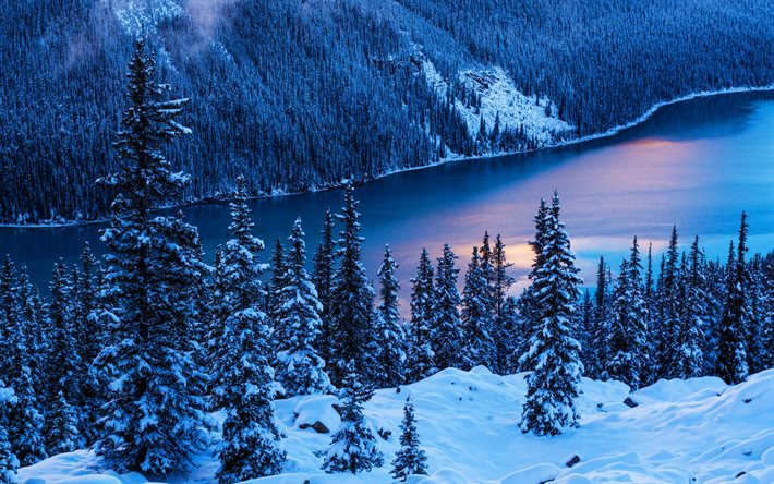 4k, lac peyto, hiver, crépuscule, forêt, parc national banff, monuments canadiens, montagnes, hdr, photos avec des lacs, belle nature, banff, canada, alberta, lacs bleus