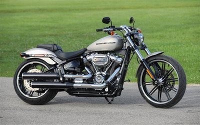 Harley-Davidson Softail 4k nel 2018, moto, superbike, moto Harley-Davidson