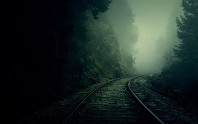 des rails de chemin de fer, forêt, brouillard, rock