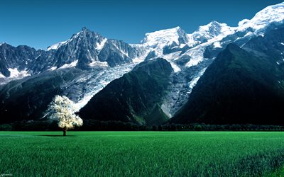 bossons glacier, 산, 여름, 절벽, alps, 프랑스