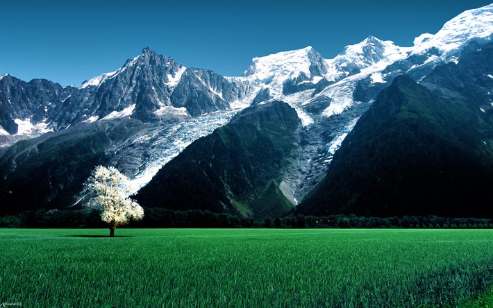 Ghiacciaio di Bossons, montagna, estate, scogliere, Alpi, Francia