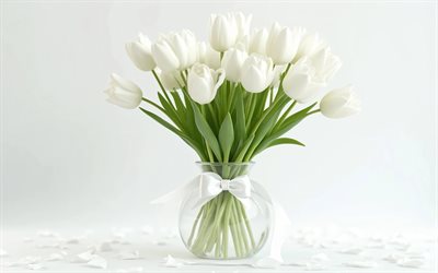 tulipanes blancos, 4k, minimalismo, flores de primavera, fondo blanco, ramo de tulipanes, hermosas flores, lazo blanco, primavera, fondo con tulipanes, flores blancas, tulipanes