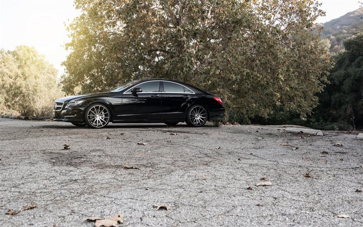 berlines, 2015, Mercedes classe CLS, les arbres, la Mercedes noire