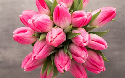 4k, tulipani rosa, vista superiore, bouquet tulipano, background tulipano, fiori rosa, 8 marzo, tulipani, bouquet di tulipani rosa