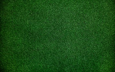 4k, green grass texture, macro, grass lawn, football field, grass textures, green grass background, green grass field, lawn background, natural textures