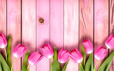 4k, pink tulpen, rosa holz nach hinten, frühlingsblumen, schöne blumen, tulpen, frühling, hintergrund mit tulpen, rosa blumen
