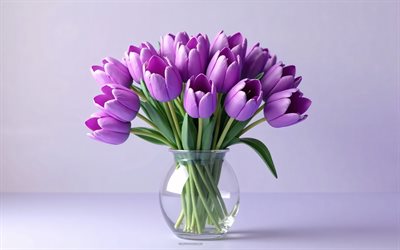 4k, bouquet of purple tulips, purple background, purple tulips, 3d flowers, 3d tulips, tulips bouquet, purple flowers, tulips, background with purple tulips, 3d purple tulips