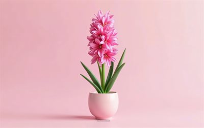 4k, giacinto rosa in pentola, sfondo rosa, myacinth rosa, fiori 3d, 3d hyacinth, bouquet hyacinth, fiori rosa, giacinto, sfondo con giacinto rosa, giacinto rosa 3d