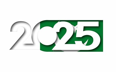 2025 Pakistan, white background, Pakistan, minimal art, 2025 Pakistan concepts, Pakistan 2025, flag of Pakistan, 2025 Pakistan background, Pakistan flag