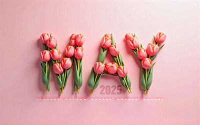 4k, 2025 may calendar, lettere di tulipani rosa, maggio 2025, calendari di primavera, sfondi rosa, calendario del maggio 2025, tulipani rosa, lettere 3d rosa, 2025 concetti, possa calendari, 2025 calendari, maggio