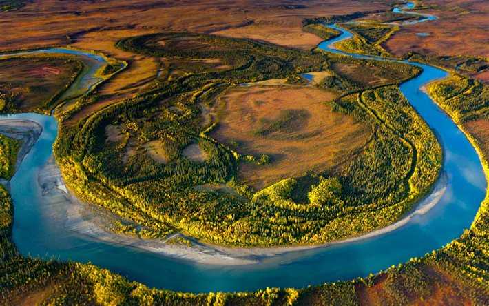rio, parque nacional do ártico, verão, floresta, alasca, eua, américa