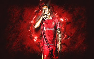virgil van dijk, liverpool fc, niederländischer fußballer, grunge  kunst, roter steinhintergrund, premier league, england, fußball, virgil van dijk liverpool